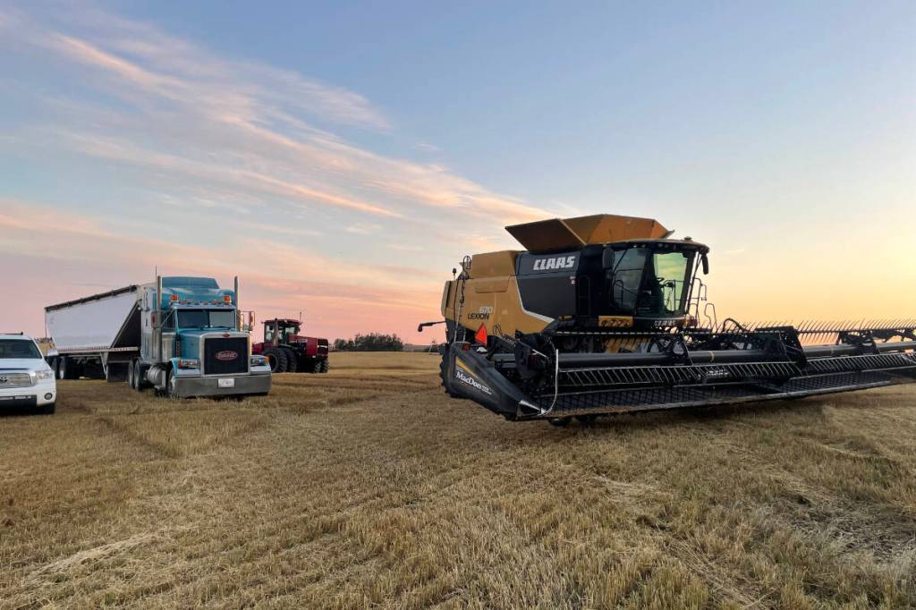 Kole Lundie has plans to grow more canola this year due to tariff changes. (photo courtesy Kole Lundie)